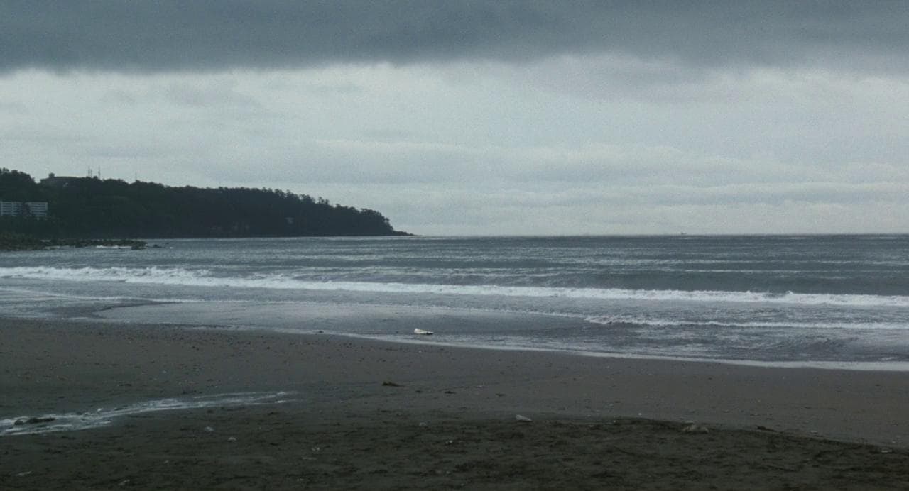 surfboard adrift on the shore
